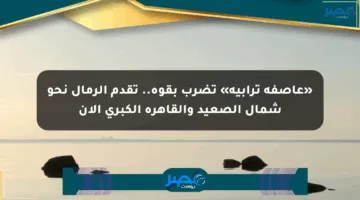 «عاصفة ترابية» تضرب بقوة.. تقدم الرمال نحو شمال الصعيد والقاهرة الكبرى الآن